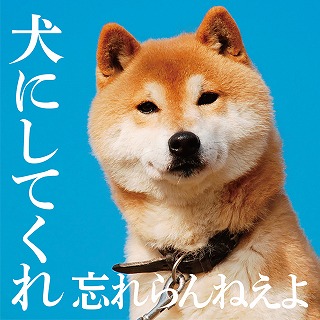 【準大賞】忘れらんねえよ『犬にしてくれ』